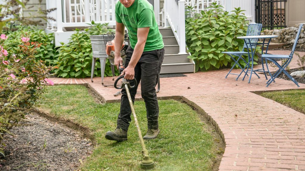 create a lawn care business website